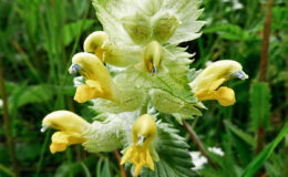 015 - wer schaut dich denn da an